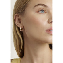 Load image into Gallery viewer, ted baker trinna: twist enamel hoop earrings
