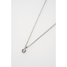 Load image into Gallery viewer, ted baker harlow: mini crystal heart pendant necklace  silver tone clear crystal
