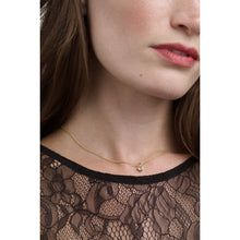 Load image into Gallery viewer, ted baker harlow: mini crystal heart pendant necklace  gold tone clear crystal
