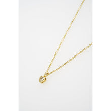 Load image into Gallery viewer, ted baker harlow: mini crystal heart pendant necklace  gold tone clear crystal

