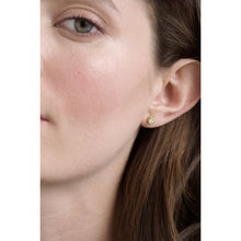 Load image into Gallery viewer, ted baker harmony: mini crystal heart stud earrings gold tone clear crystal
