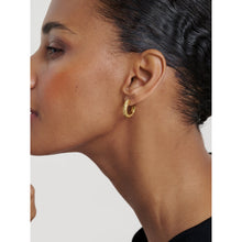 Load image into Gallery viewer, ted baker melanie: metal twist gold tone hoop earrings
