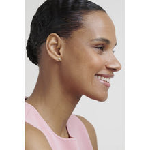 Load image into Gallery viewer, ted baker milani: mini crystal cluster gold tone stud earrings

