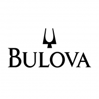 Load image into Gallery viewer, Bulova Diamond Watch  &#39;Surveyor Collection&#39;
